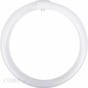 Ledvance Świetlówka Kołowa G10Q 32W 840 4000K L32W 840C 4008321581143