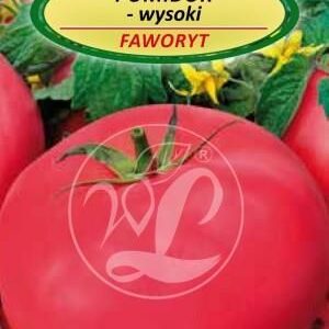 Pomidor FAWORYT - Legutko